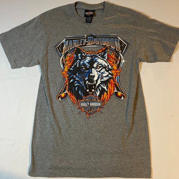 Harley Davidson Southern Devil Tee Shirt Men Small Gray Graphic Motorcycle Biker - Picture 1 of 6
